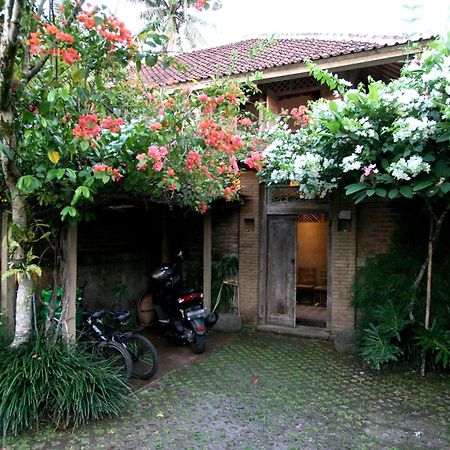 Artist Eco Villa In Ubud Zewnętrze zdjęcie
