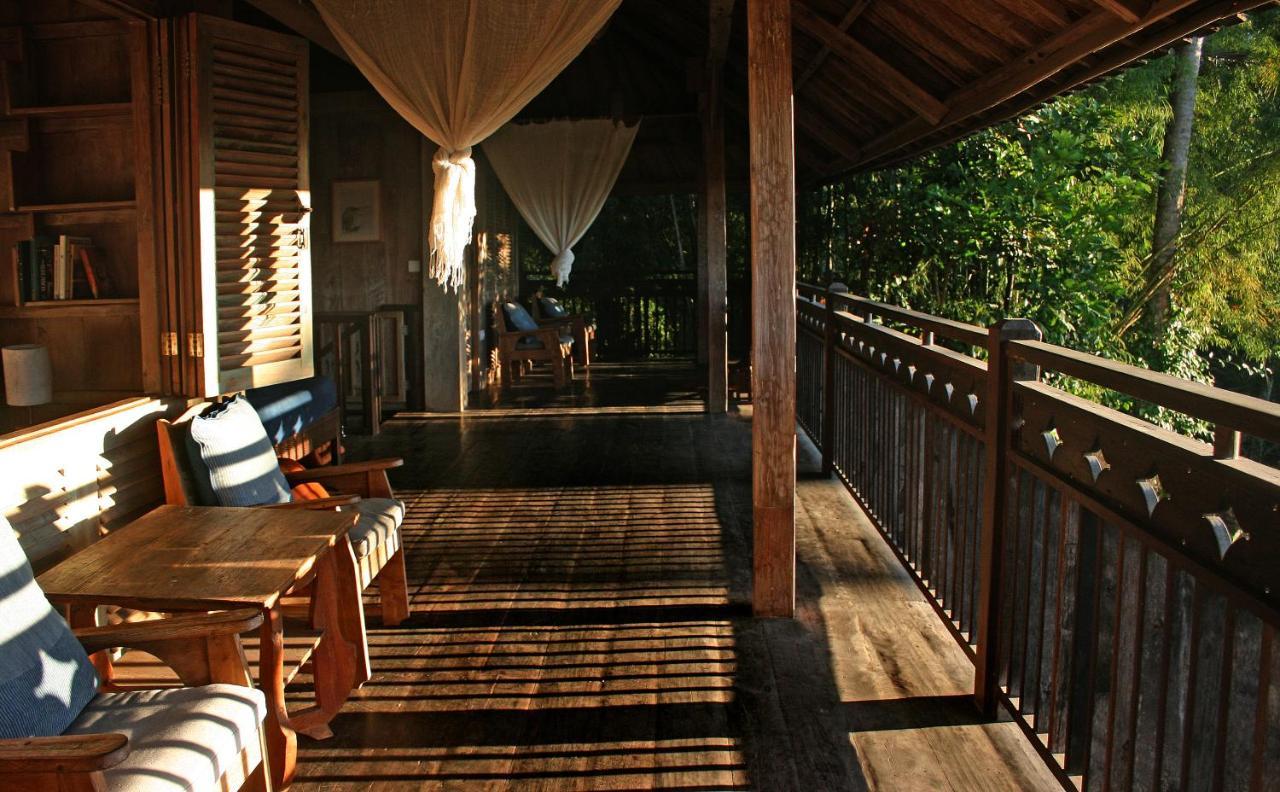 Artist Eco Villa In Ubud Zewnętrze zdjęcie