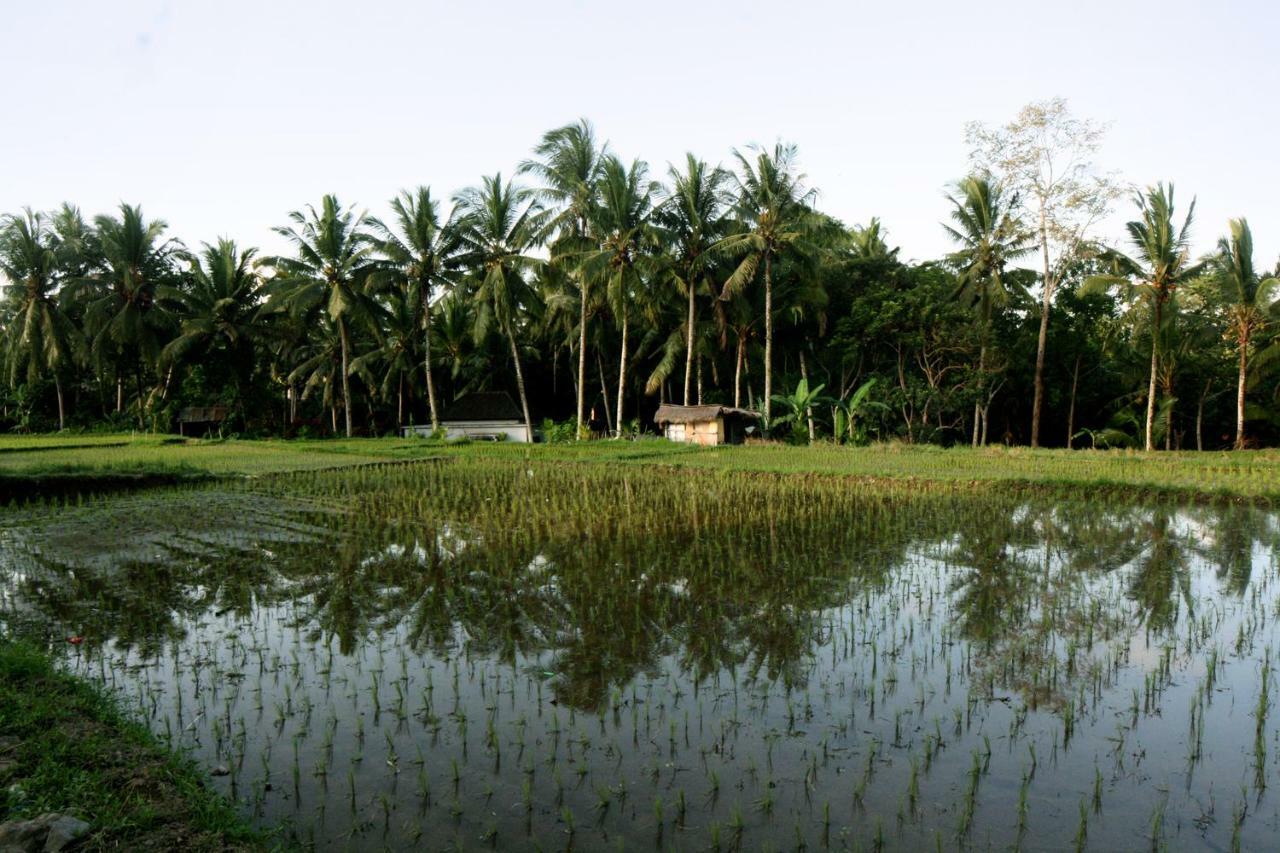 Artist Eco Villa In Ubud Zewnętrze zdjęcie