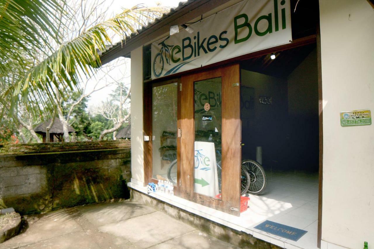 Artist Eco Villa In Ubud Zewnętrze zdjęcie